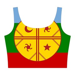 Flag Of The Mapuches Svg Midi Sleeveless Dress from ArtsNow.com Top Back