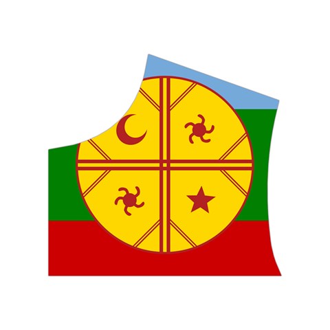 Flag Of The Mapuches Svg Women s Button Up Vest from ArtsNow.com Top Left
