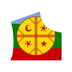 Flag Of The Mapuches Svg Women s Button Up Vest from ArtsNow.com Top Right