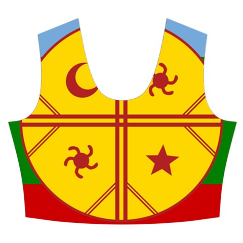 Flag Of The Mapuches Svg Women s Crop Top Pleated Skater Rave Skirt from ArtsNow.com Front