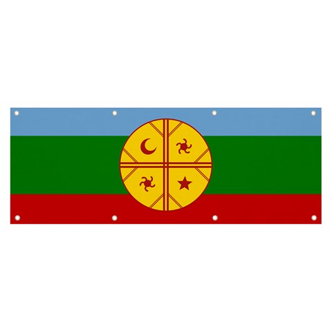 Flag Of The Mapuches Svg Banner and Sign 8  x 3  from ArtsNow.com Front