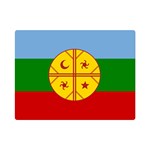 Flag Of The Mapuches Svg Premium Plush Fleece Blanket (Mini)