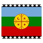 Flag Of The Mapuches Svg Premium Plush Fleece Blanket (Small)