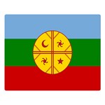 Flag Of The Mapuches Svg Premium Plush Fleece Blanket (Large)