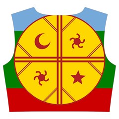 Flag Of The Mapuches Svg Trumpet Sleeve Cropped Top from ArtsNow.com Back