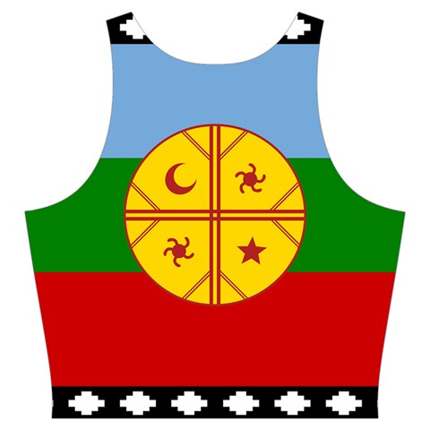 Flag Of The Mapuches Svg Cut Out Top from ArtsNow.com Back