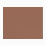 Mocha Mousse Hex Code #a47864 Small Glasses Cloth