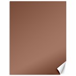 Mocha Mousse Hex Code #a47864 Canvas 12  x 16 