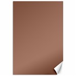 Mocha Mousse Hex Code #a47864 Canvas 12  x 18 