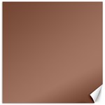 Mocha Mousse Hex Code #a47864 Canvas 16  x 16 