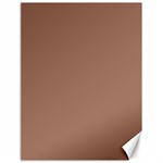 Mocha Mousse Hex Code #a47864 Canvas 18  x 24 