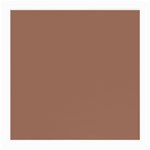 Mocha Mousse Hex Code #a47864 Medium Glasses Cloth (2 Sides)