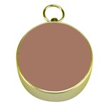 Mocha Mousse Hex Code #a47864 Gold Compasses