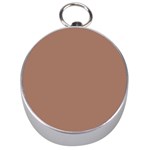 Mocha Mousse Hex Code #a47864 Silver Compasses