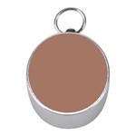 Mocha Mousse Hex Code #a47864 Mini Silver Compasses