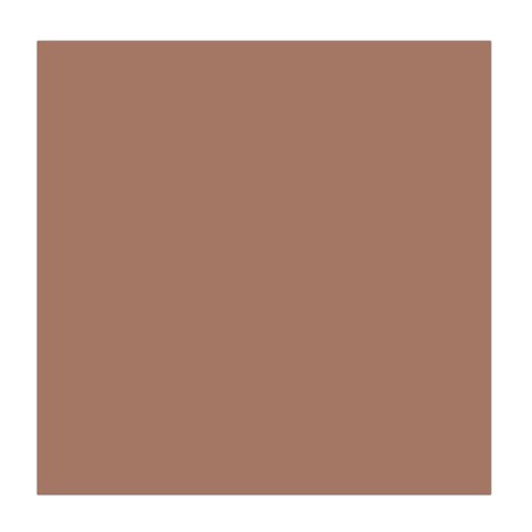 Mocha Mousse Hex Code #a47864 Duvet Cover (Queen Size) from ArtsNow.com Front