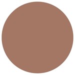 Mocha Mousse Hex Code #a47864 Round Trivet