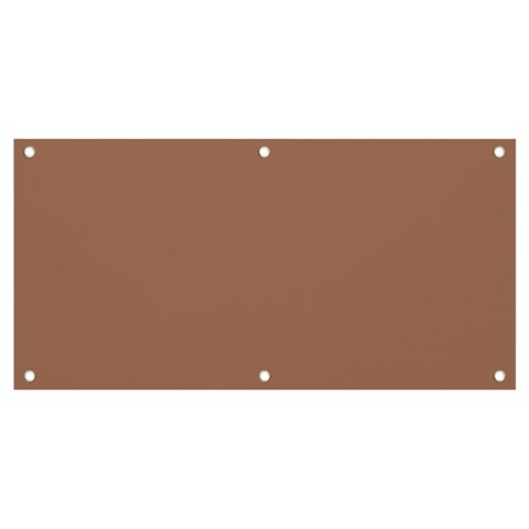 Mocha Mousse Hex Code #a47864 Banner and Sign 4  x 2  from ArtsNow.com Front