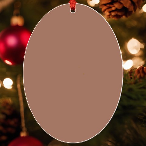 Mocha Mousse Hex Code #a47864 UV Print Acrylic Ornament Oval from ArtsNow.com Front