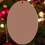 Mocha Mousse Hex Code #a47864 UV Print Acrylic Ornament Oval