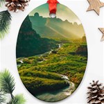 Mountains Trees Forest Oval Ornament (Two Sides)