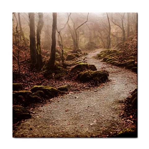 Path Trees Forest Fantasy Tile Coaster from ArtsNow.com Front