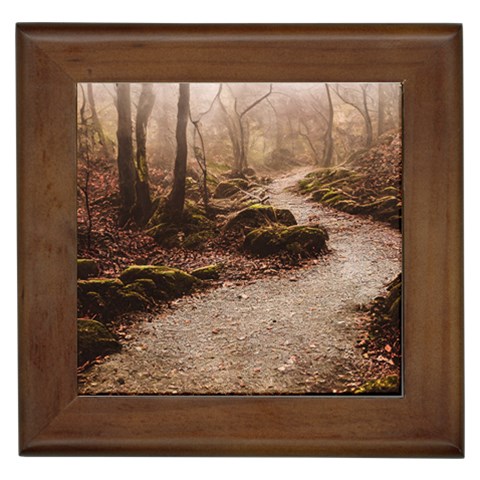 Path Trees Forest Fantasy Framed Tile from ArtsNow.com Front