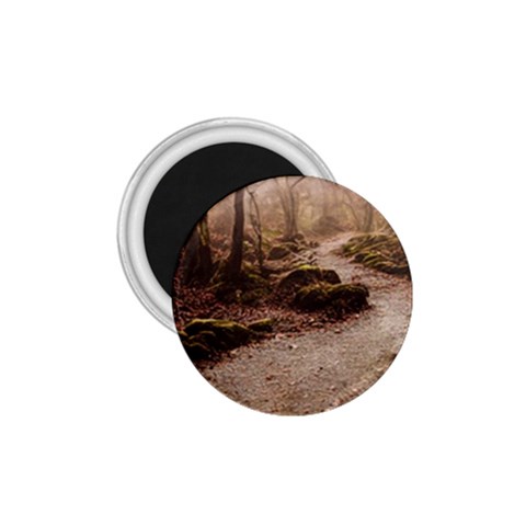 Path Trees Forest Fantasy 1.75  Magnets from ArtsNow.com Front