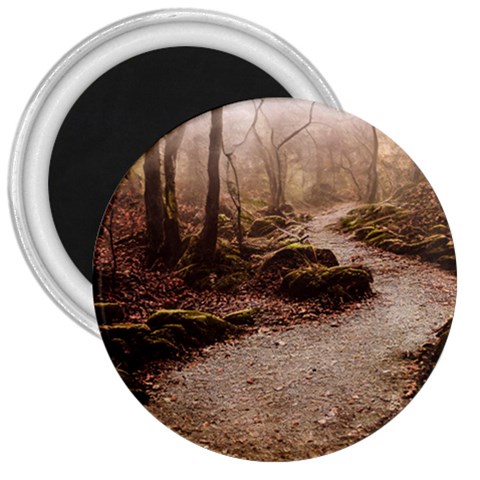 Path Trees Forest Fantasy 3  Magnets from ArtsNow.com Front