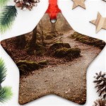 Path Trees Forest Fantasy Ornament (Star)