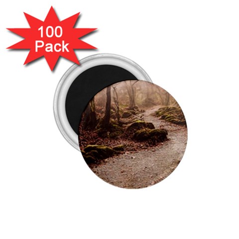 Path Trees Forest Fantasy 1.75  Magnets (100 pack)  from ArtsNow.com Front