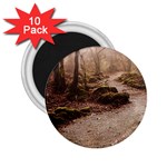 Path Trees Forest Fantasy 2.25  Magnets (10 pack) 