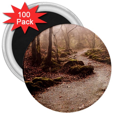 Path Trees Forest Fantasy 3  Magnets (100 pack) from ArtsNow.com Front