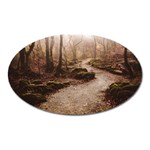 Path Trees Forest Fantasy Oval Magnet