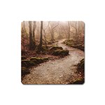 Path Trees Forest Fantasy Square Magnet