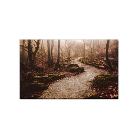 Path Trees Forest Fantasy Sticker Rectangular (100 pack) from ArtsNow.com Front