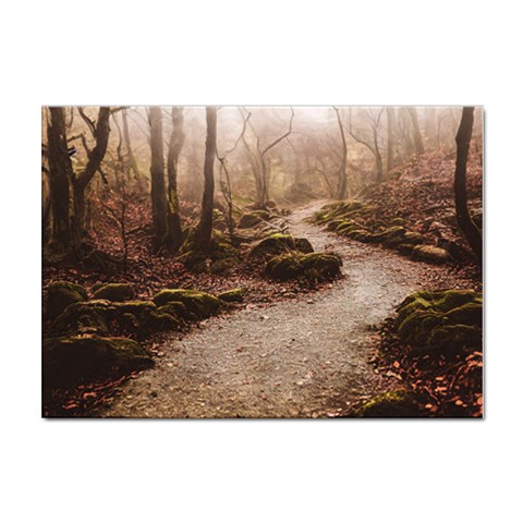Path Trees Forest Fantasy Sticker A4 (10 pack) from ArtsNow.com Front
