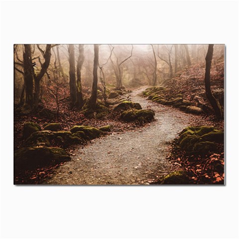 Path Trees Forest Fantasy Postcards 5  x 7  (Pkg of 10) from ArtsNow.com Front