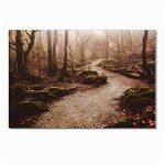 Path Trees Forest Fantasy Postcards 5  x 7  (Pkg of 10)