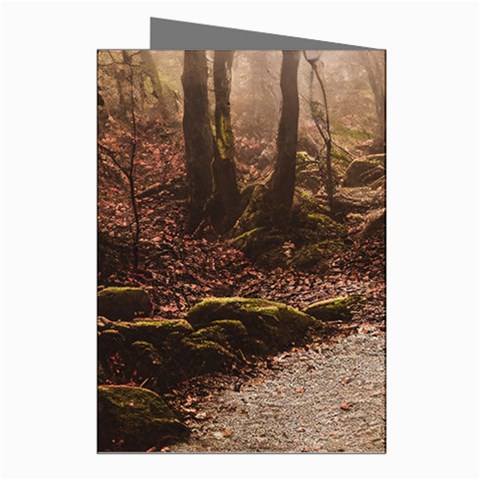 Path Trees Forest Fantasy Greeting Cards (Pkg of 8) from ArtsNow.com Right