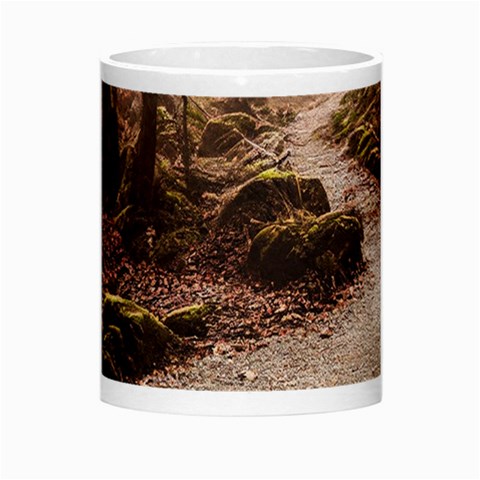 Path Trees Forest Fantasy Morph Mug from ArtsNow.com Center