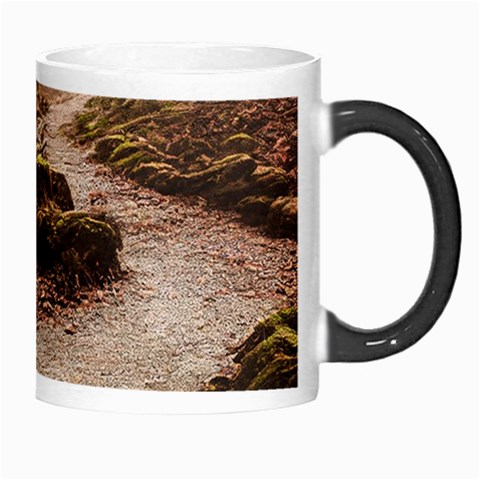 Path Trees Forest Fantasy Morph Mug from ArtsNow.com Right