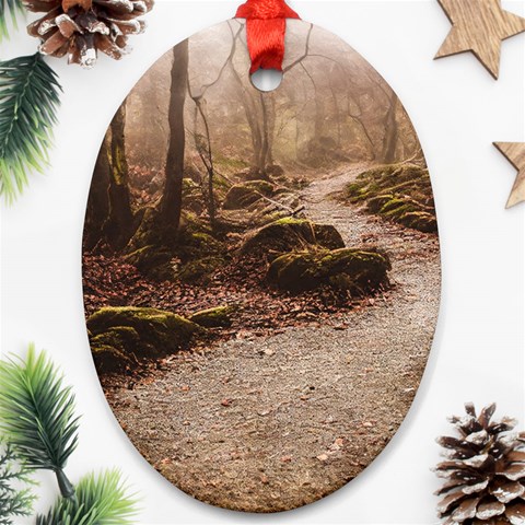 Path Trees Forest Fantasy Oval Ornament (Two Sides) from ArtsNow.com Front