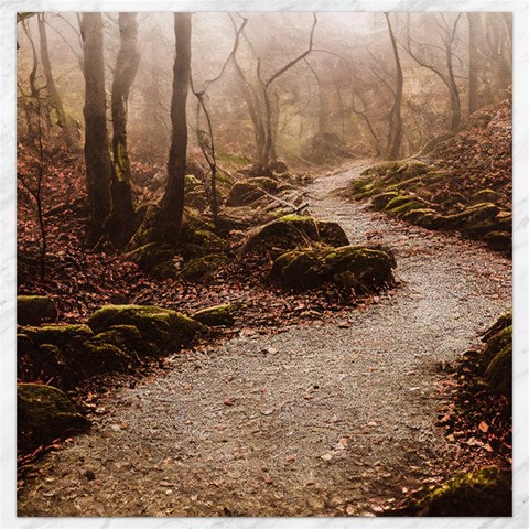 Path Trees Forest Fantasy Canvas 12  x 12  from ArtsNow.com 11.4 x11.56  Canvas - 1