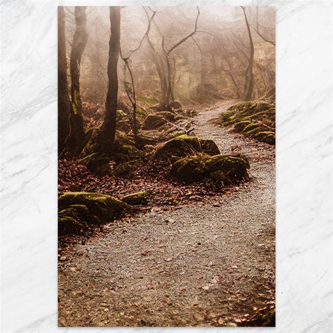 Path Trees Forest Fantasy Canvas 12  x 18  from ArtsNow.com 11.88 x17.36  Canvas - 1