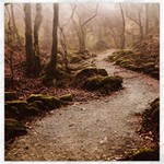 Path Trees Forest Fantasy Canvas 16  x 16 