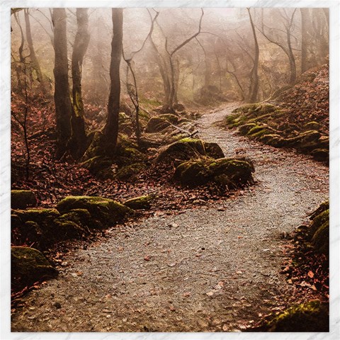 Path Trees Forest Fantasy Canvas 20  x 20  from ArtsNow.com 19 x19.27  Canvas - 1