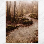 Path Trees Forest Fantasy Canvas 18  x 24 