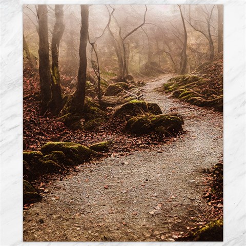 Path Trees Forest Fantasy Canvas 20  x 24  from ArtsNow.com 19.57 x23.15  Canvas - 1