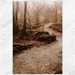 Path Trees Forest Fantasy Canvas 20  x 30 